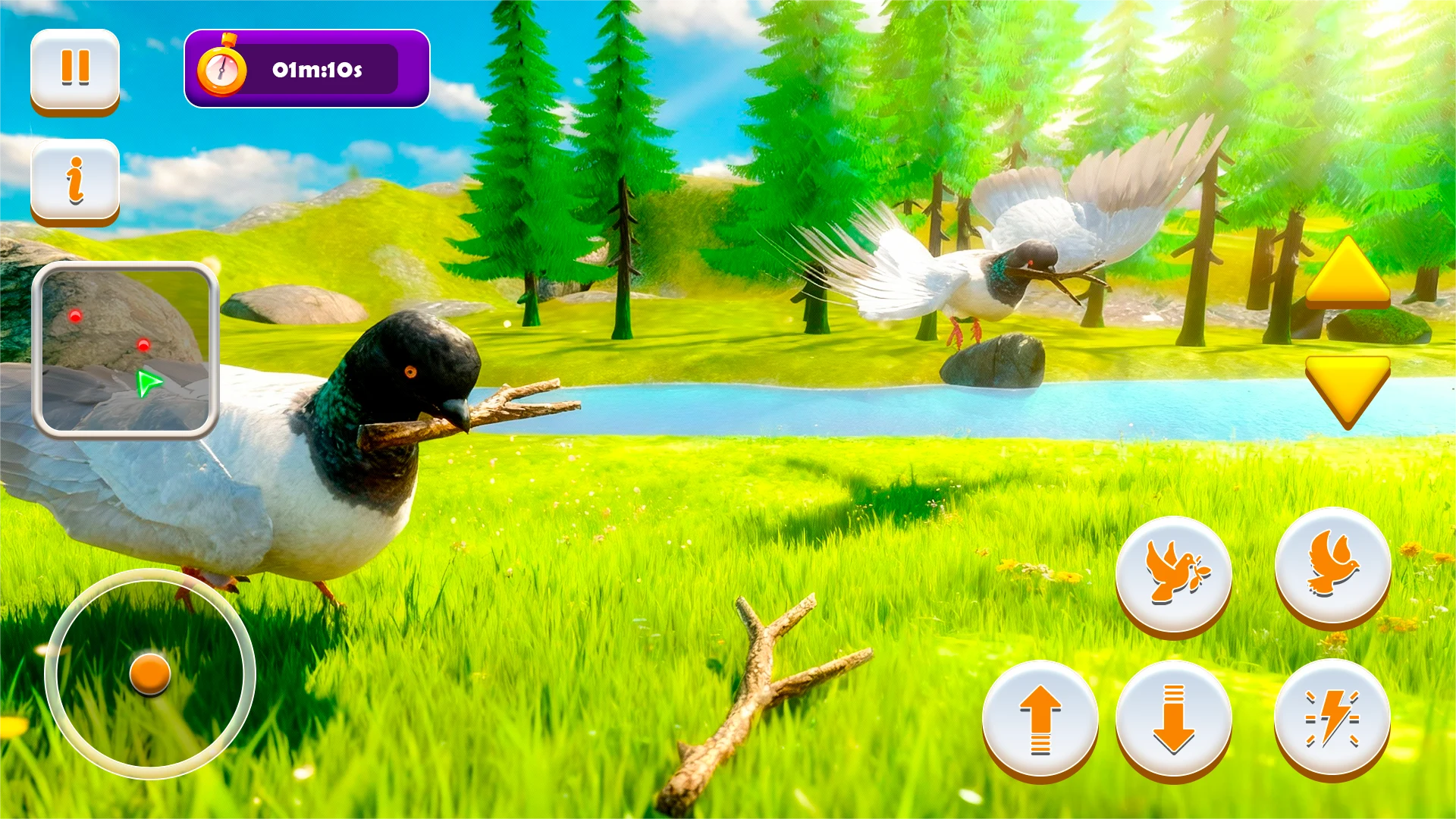 Pigeon Games - Bird Simulator screenshot